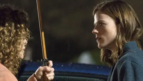The Good Fight Temporada 1 Episodios 3 • Sub Español