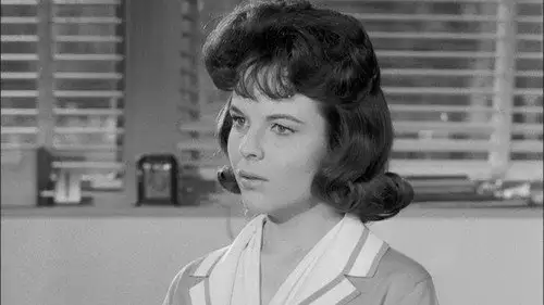 Perry Mason Temporada 6 Episodios 10 • Sub Español