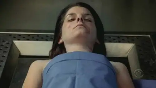 CSI: Nueva York Temporada 3 Episodios 7 • Sub Español