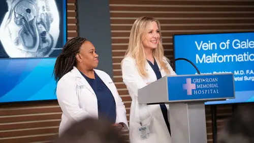 Anatomía de Grey Temporada 20 Episodios 4 • Sub Español