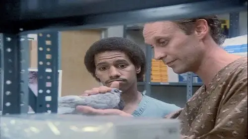 St. Elsewhere Temporada 1 Episodios 8 • Sub Español