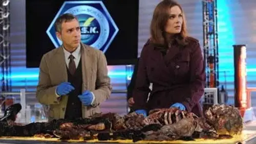 Bones Temporada 7 Episodios 12 • Sub Español