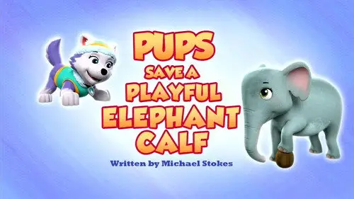 La Patrulla Canina Temporada 9 Episodios 21 • Sub Español