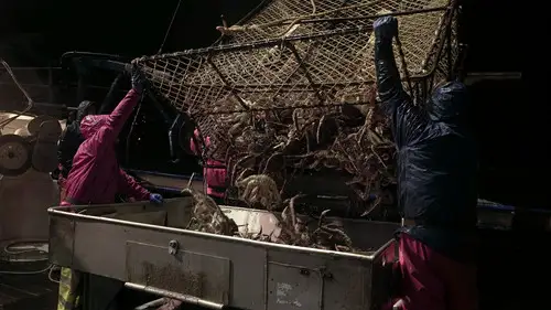 Pesca radical Temporada 14 Episodios 2 • Sub Español