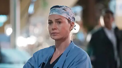 Anatomía de Grey Temporada 13 Cap 24 • Español Online
