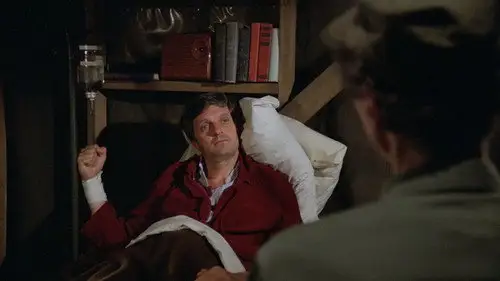 M*A*S*H Temporada 9 Episodios 17 • Sub Español