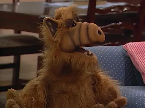 ALF Temporada 1 Episodios 16 • Sub Español