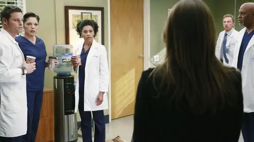 Anatomía de Grey Temporada 11 Episodios 22 • Sub Español