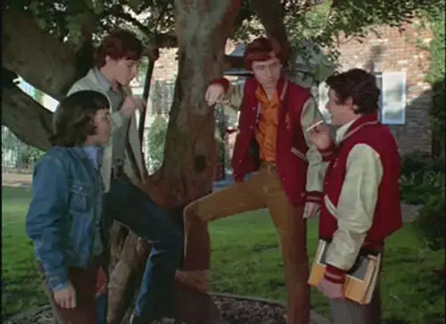 The Brady Bunch Temporada 2 Episodios 14 • Sub Español