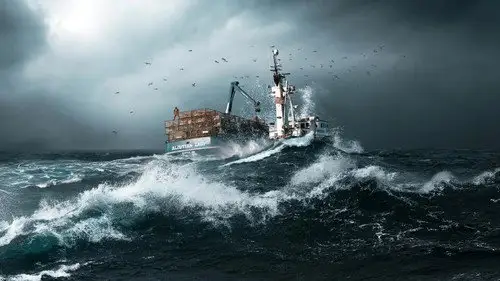 Pesca radical Temporada 20 Episodios 14 • Sub Español