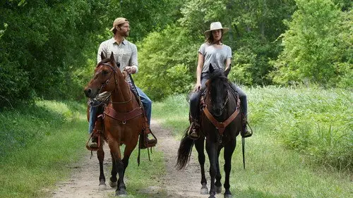 Walker Temporada 1 Episodios 14 • Sub Español