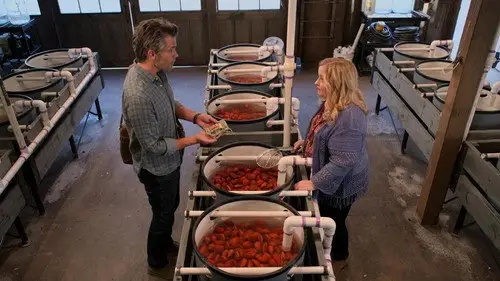 Santa Clarita Diet Temporada 2 Episodios 9 • Sub Español
