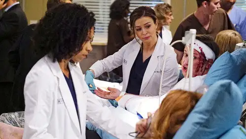 Anatomía de Grey Temporada 13 Cap 3 • Español Online