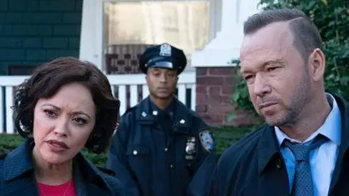 Familia de policías Temporada 10 Episodios 6 • Sub Español