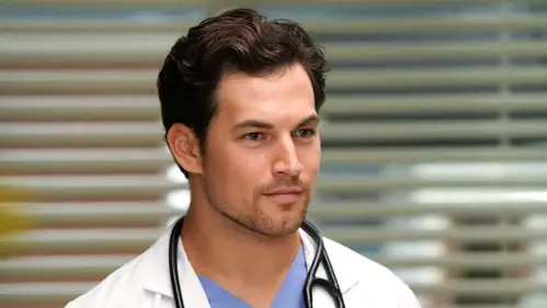 Anatomía de Grey Temporada 14 Cap 3 • Español Online