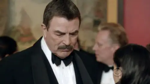 Familia de policías Temporada 3 Episodios 15 • Sub Español