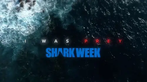 Shark Week S32E16 • Oglądaj Online
