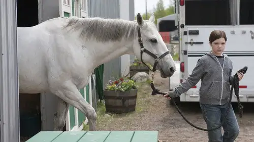 Heartland Temporada 6 Episodios 2 • Sub Español