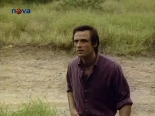 Jake y el gordo Temporada 3 Episodios 21 • Sub Español