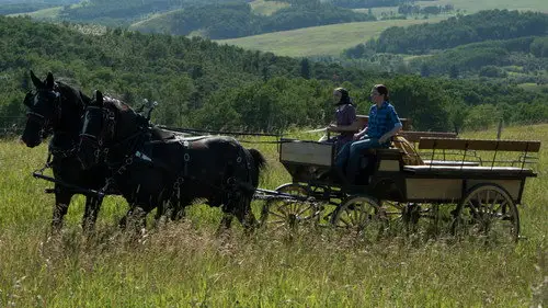 Heartland Temporada 8 Episodios 7 • Sub Español