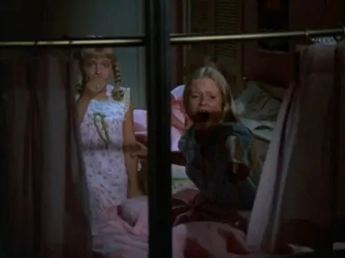 The Brady Bunch Temporada 4 Episodios 6 • Sub Español