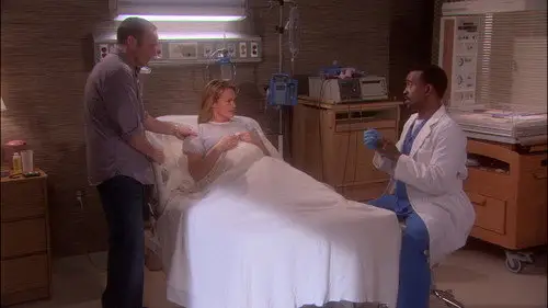 The New Adventures of Old Christine Temporada 5 Episodios 20 • Sub Español