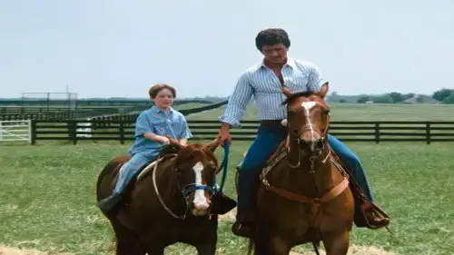 Dallas Temporada 11 Episodios 6 • Sub Español