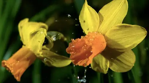 Countryfile S34E12 • Oglądaj Online