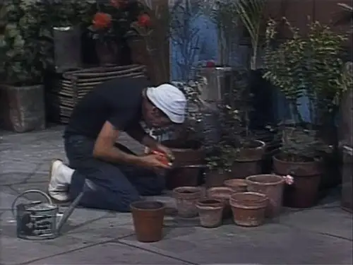 El Chavo del Ocho Temporada 6 Episodios 9 • Sub Español