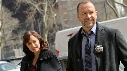 Familia de policías Temporada 11 Episodios 13 • Sub Español