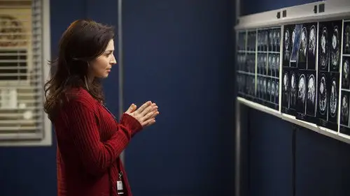 Anatomía de Grey Temporada 8 Cap 15 • Español Online