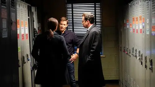 Familia de policías Temporada 10 Episodios 15 • Sub Español