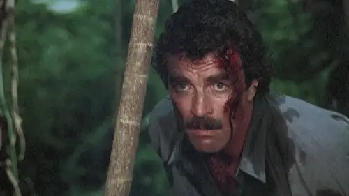 Magnum 1980 Temporada 7 Episodios 14 • Sub Español