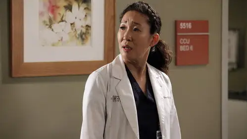 Anatomía de Grey Temporada 9 Cap 7 • Español Online