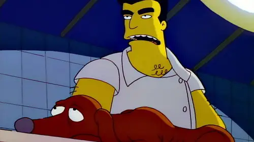 Los Simpson Temporada 3 Episodios 19 • Sub Español