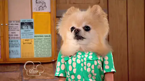 Mi perro tiene un blog Temporada 1 Episodios 4 • Sub Español