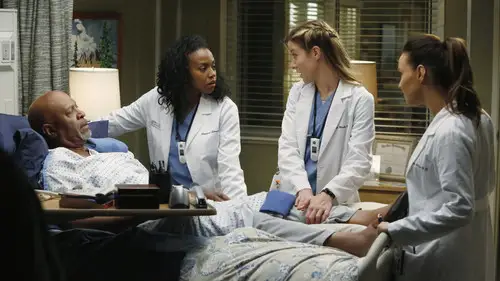 Anatomía de Grey Temporada 10 Episodios 10 • Sub Español