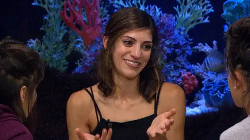 Gran hermano (Estados Unidos) Temporada 18 Episodios 10 • Sub Español
