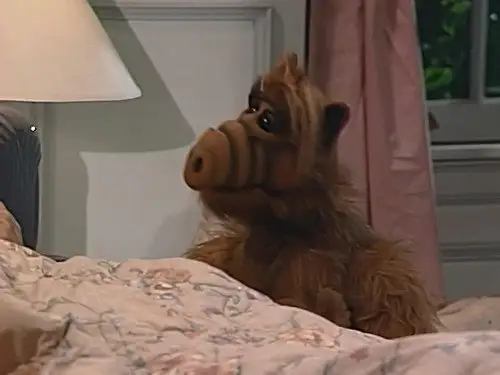 ALF Temporada 2 Episodios 6 • Sub Español