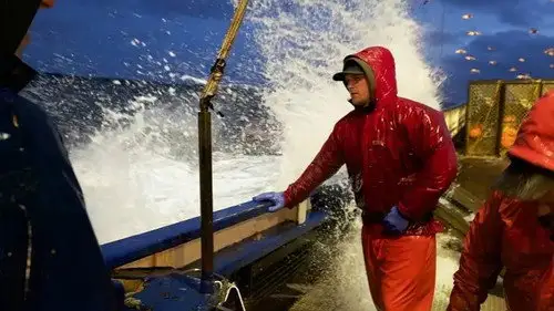 Pesca radical Temporada 15 Episodios 14 • Sub Español