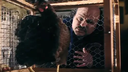 Na południe S2E11 • Oglądaj Online