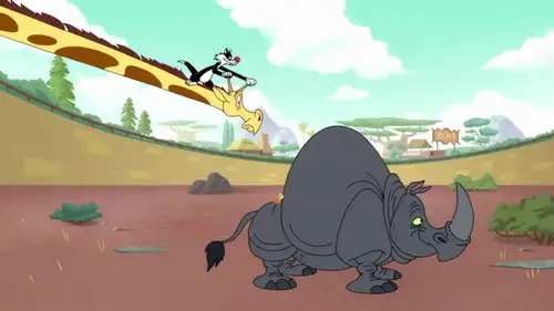 Looney Tunes Cartoons Temporada 1 Episodios 14 • Sub Español