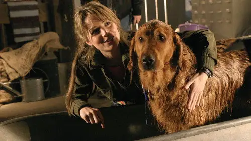Smallville Temporada 4 Episodios 14 • Sub Español