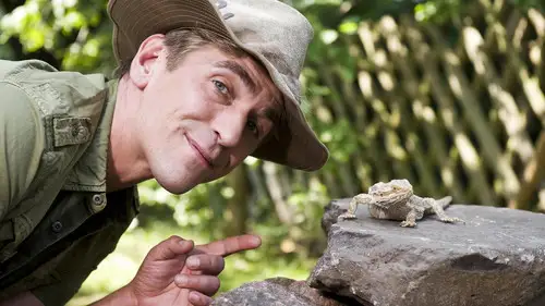 Löwenzahn Temporada 31 Episodios 7 • Sub Español
