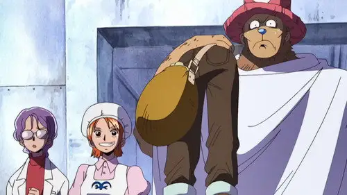 One Piece Temporada 7 Episodios 202 • Sub Español