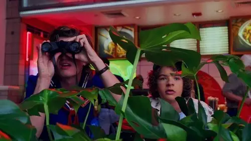 Stranger Things Temporada 3 Episodios 3 • Sub Español