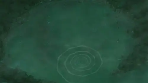 Naruto Shippuden Temporada 11 Episodios 231 • Sub Español