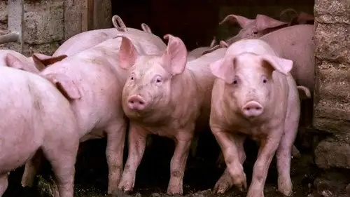 Countryfile S35E3 • Oglądaj Online