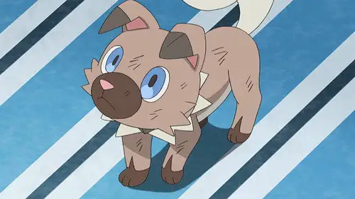 Pokémon Temporada 20 Episodios 15 • Sub Español