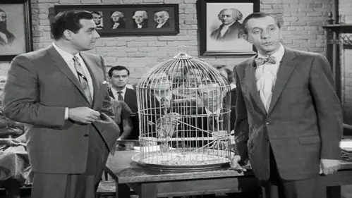 Perry Mason Temporada 2 Episodios 11 • Sub Español